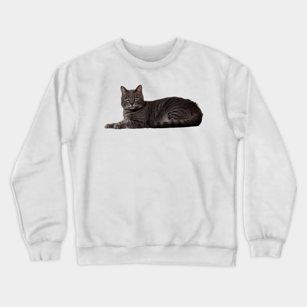 Baxter - Male Cat Crewneck Sweatshirt by A2Gretchen